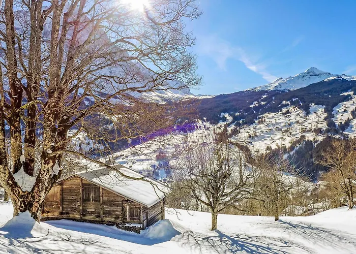 Hobelbank By Interhome Apartment Grindelwald