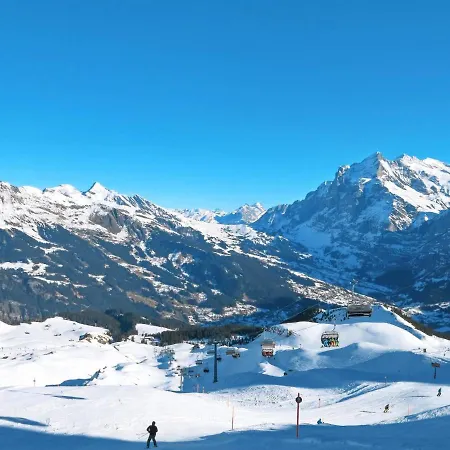 Hobelbank By Interhome Apartment Grindelwald